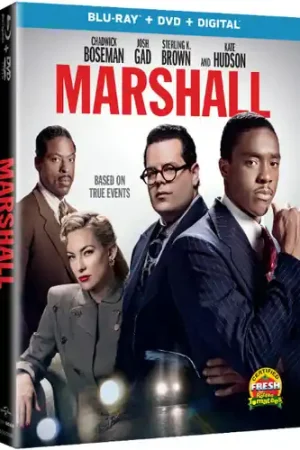 Marshall Trending