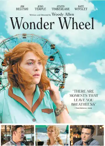 Wonder Wheel Low Price