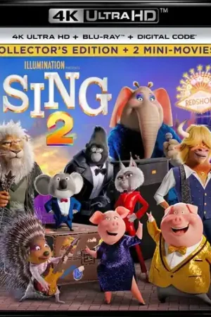 Save Now Sing 2 (4k) (Wbr) (Digc)