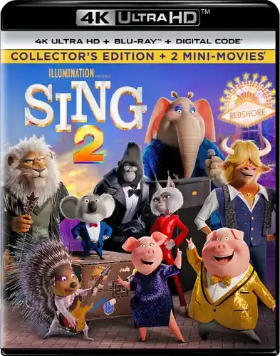 Save Now Sing 2 (4k) (Wbr) (Digc)