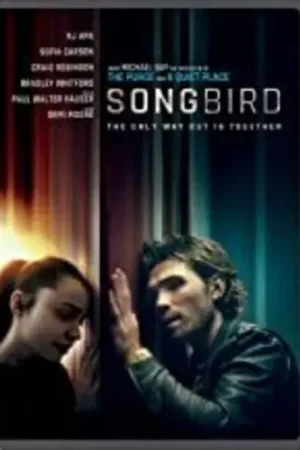 Big Sale Songbird