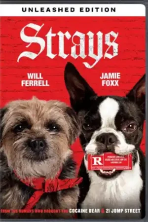 Get Yours Strays