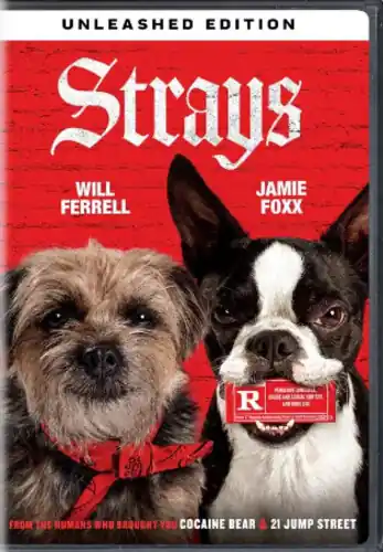 Get Yours Strays