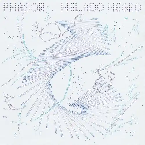 Exclusive Offer Phasor