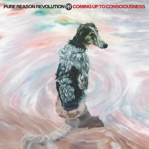 New Arrival Coming Up To Consciousness