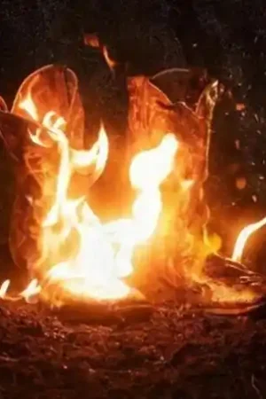 Walk Through Fire Authentic