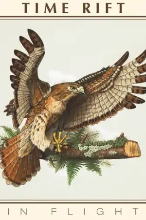 Low Price In Flight