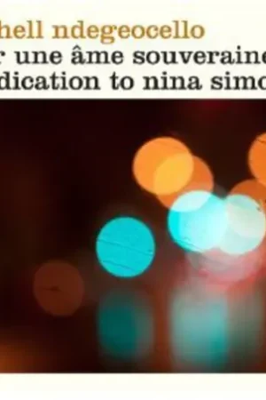 Clearance Dedication To Nina Simone
