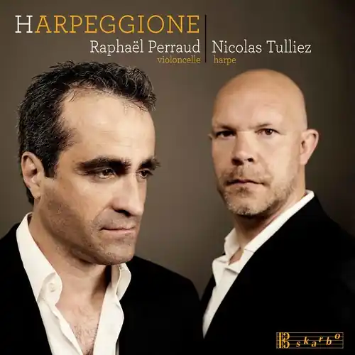 Harpeggione Fresh Stock