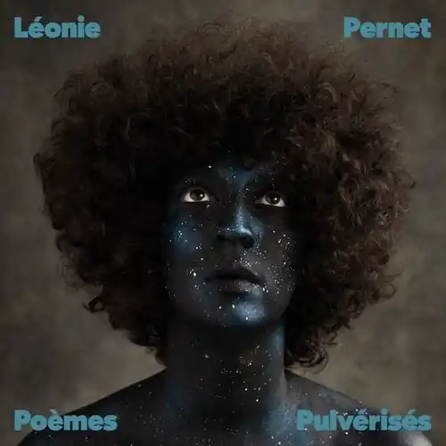Save Now Poemes Pulverises