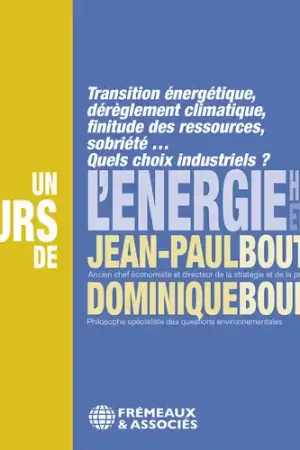 Wholesale L'energie, Histoire Et Enjeux