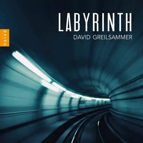 Labyrinth Warranty Included