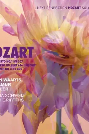 Luxury Violin Concerto 1 207