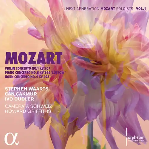 Luxury Violin Concerto 1 207