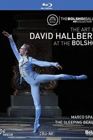 Art of David Hallberg at the Bolshoi Order Now