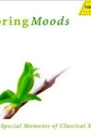 Spring Moods / Various Same Day Shipping