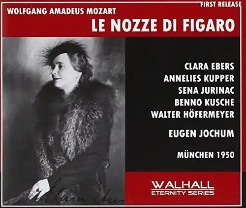Today Only Lezze Di Figaro