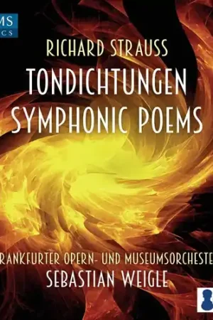 Final Sale Tondichtungen