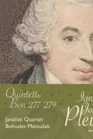 15-STR Quinets Big Sale
