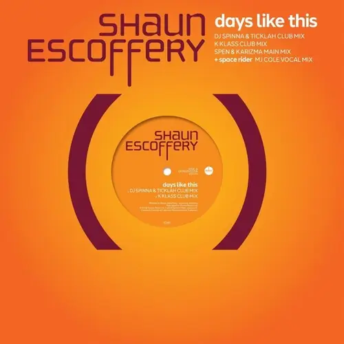 Seasonal Sale Day Like This - 140-Gram Black Vinyl