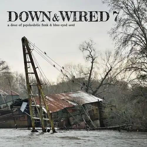 Best Choice Down & Wired 7 / Various