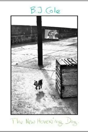 New Hovering Dog Authentic