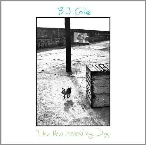 New Hovering Dog Authentic