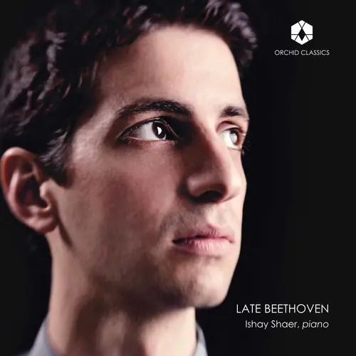 Top Pick Late Beethoven