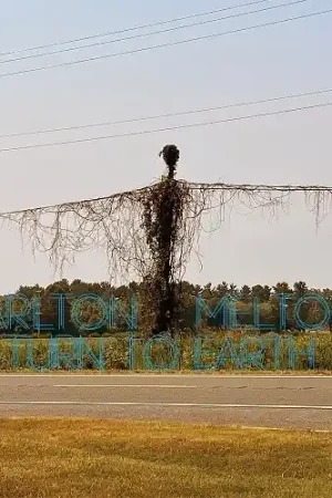 Original Turn To Earth