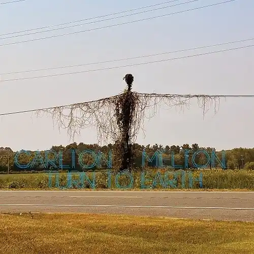 Original Turn To Earth