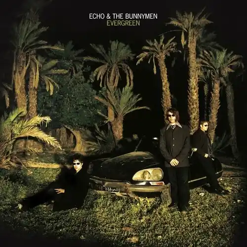 Direct From Manufacturer Evergreen (25 Year Anniversary Edition) (Aniv)