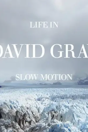 Reduced Price Life In Slow Motion (20th Anniversary) [Blue]