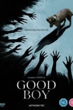 Authentic Good Boy (Uk)