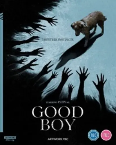Authentic Good Boy (Uk)