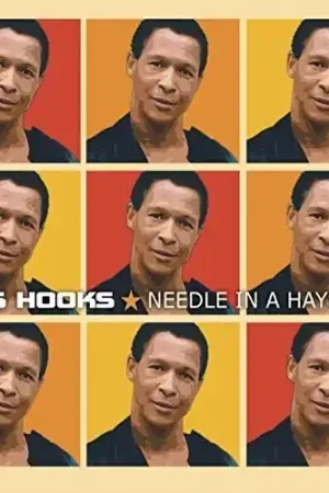 Needle In A Haystack Save Now