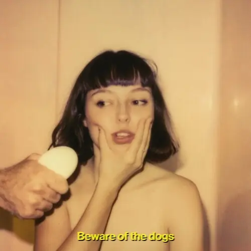 Fresh Stock Beware Of The Dogs