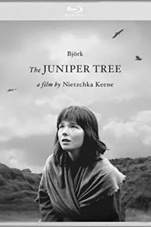 The Juniper Tree Today Only