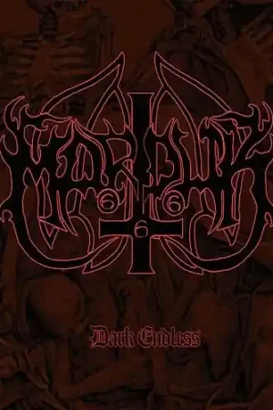 Dark Endless Trusted Brand