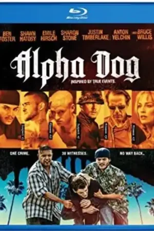 Direct From Factory Alpha Dog Bd