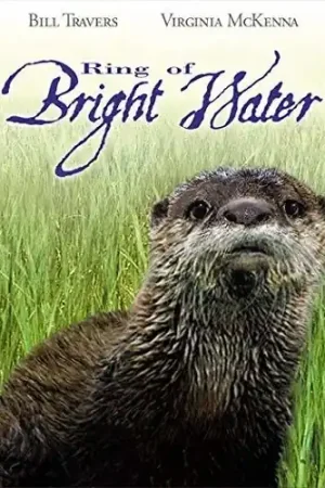 Ring Of Bright Water (1969) Sale
