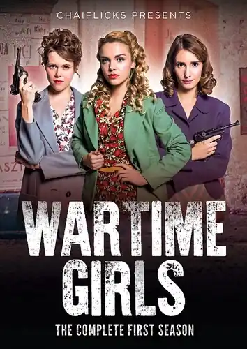 Wartime Girls: The Complete First Season (3pc) Factory Price