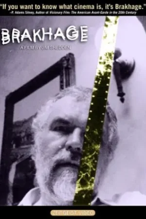 Best Price Brakhage