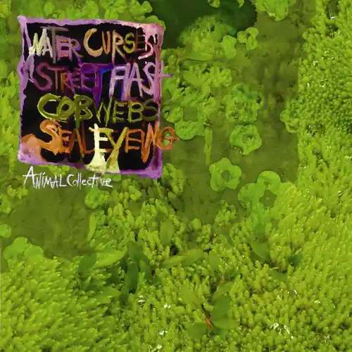 While Supplies Last Water Curses