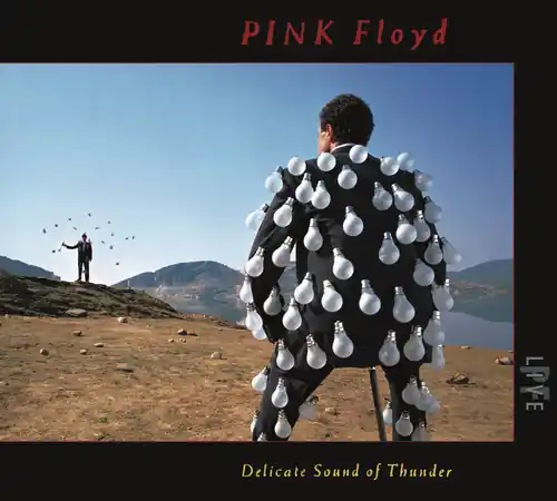 Budget Delicate Sound Of Thunder (Live)