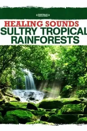 Healing Sounds - Sultry Tropical Rainforests While Supplies Last