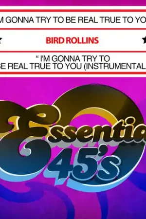 Order Now I'm Gonna Try to Be Real True to You
