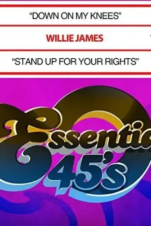 Holiday Sale Down On My Knees / Stand Up For Your Rights