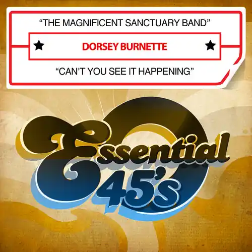 The Magnificent Sanctuary Band / Can't You See It Happening (Digital 45) Next Day Delivery