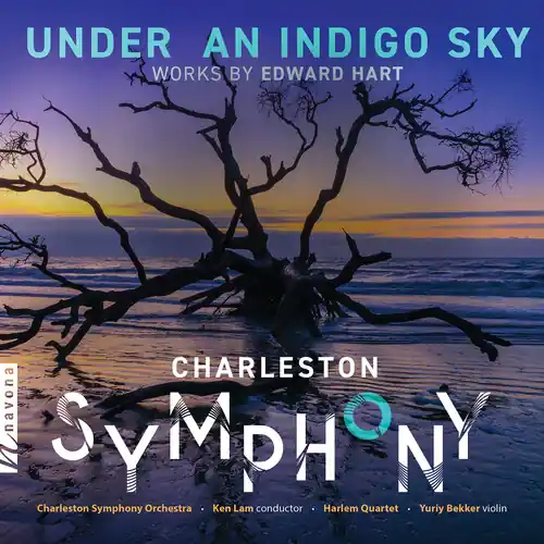 Under an Indigo Sky Premium