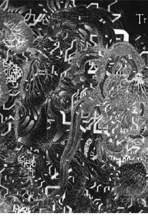 Freed of This Flesh Latest